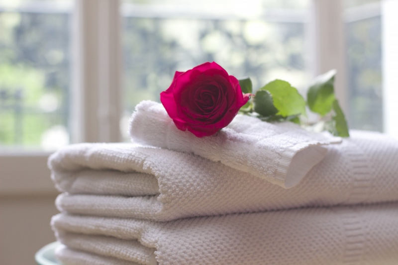 hotel-VILLENEUVE LOUBET-min_towel_rose_clean_care_salon_spa_white_bath-731641